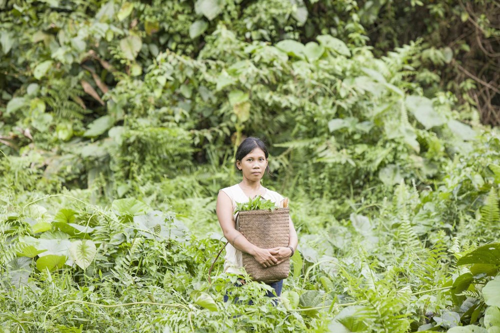 Indigenous Climate Change Solutions If Not Us Then Who