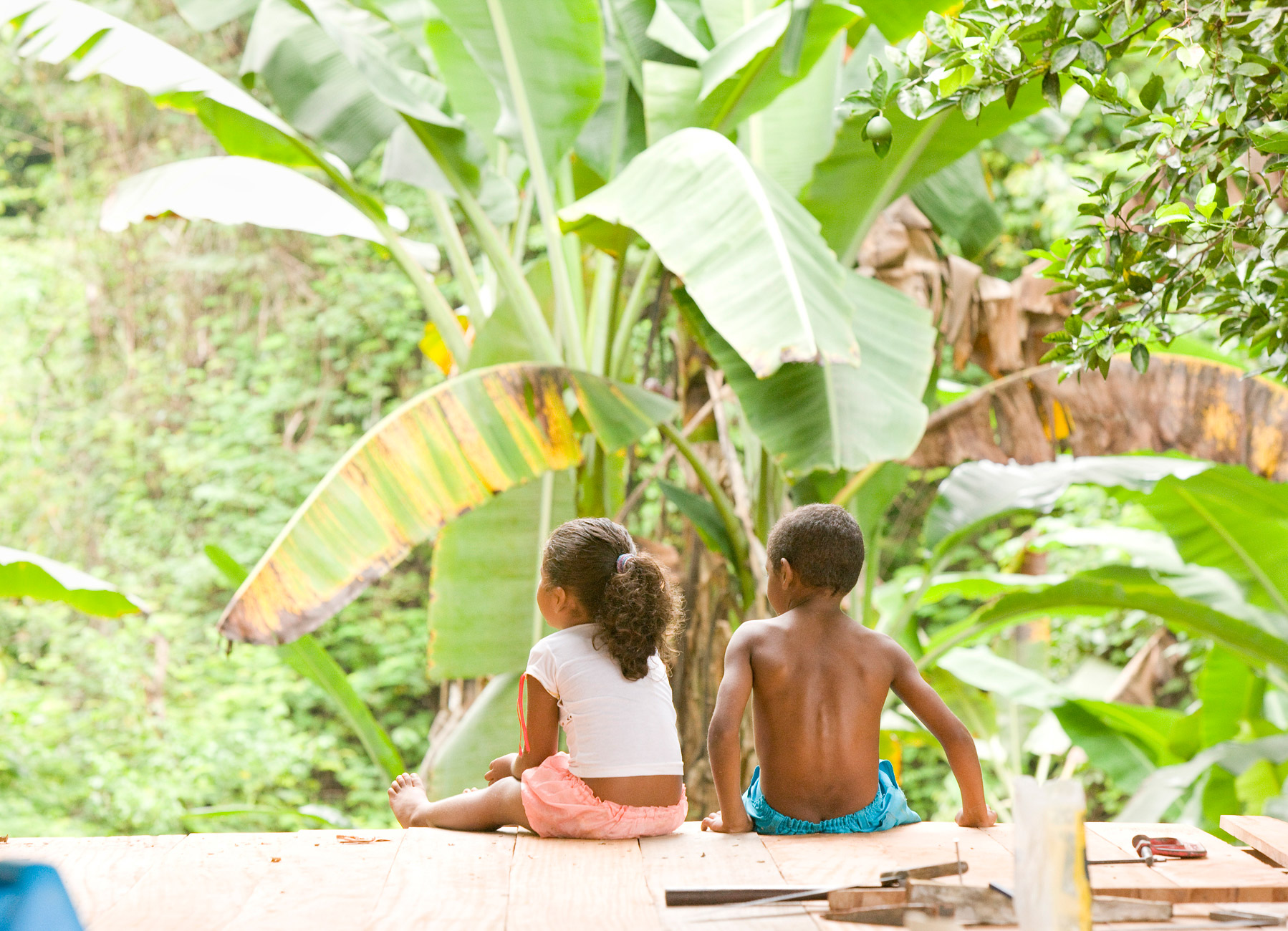 The Amazons Unexpected Champions Afro Descendant Communities And Deforestation - h97a5f3