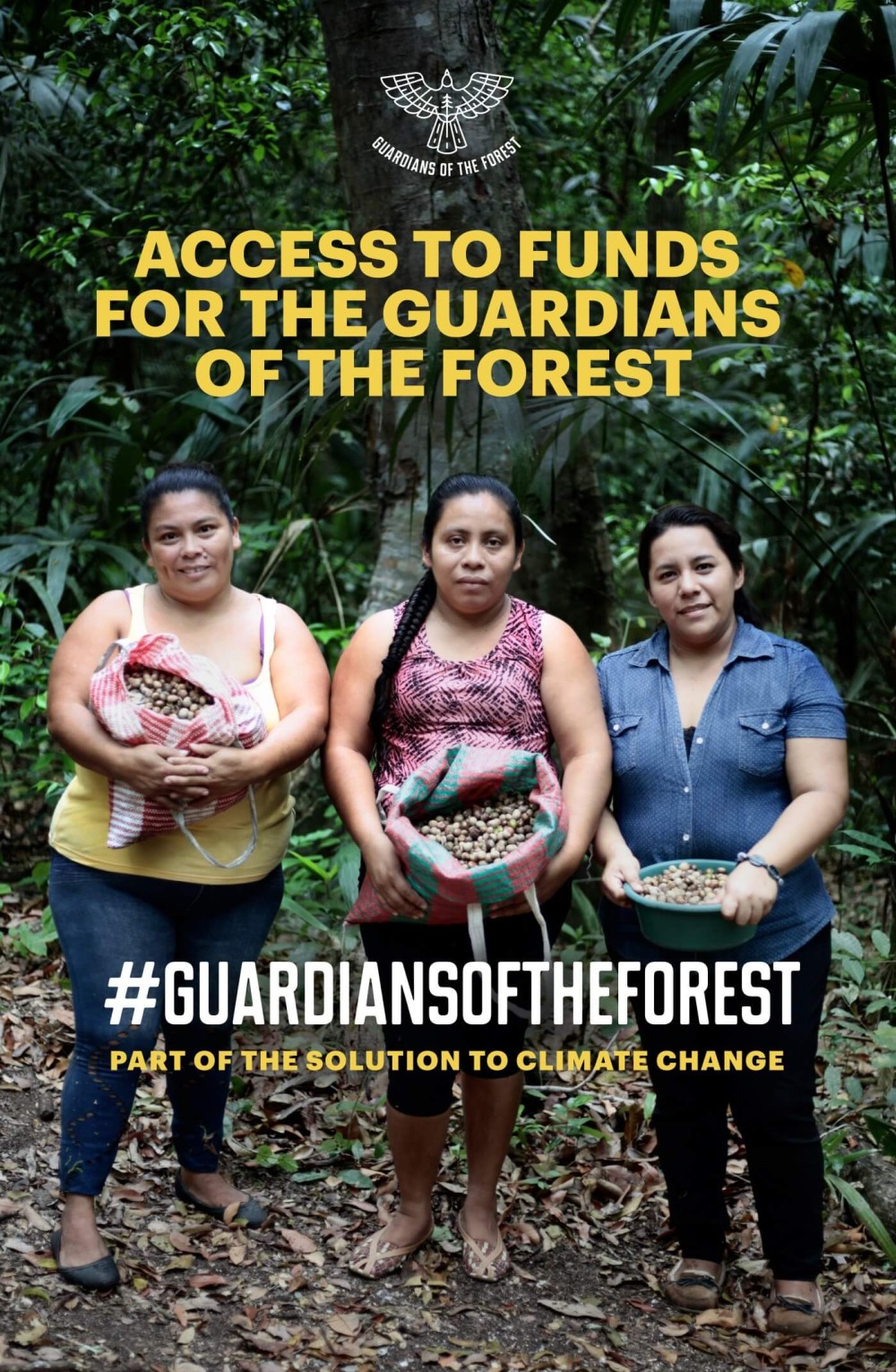 Guardians of the Forest #COP23 — If Not Us Then Who?
