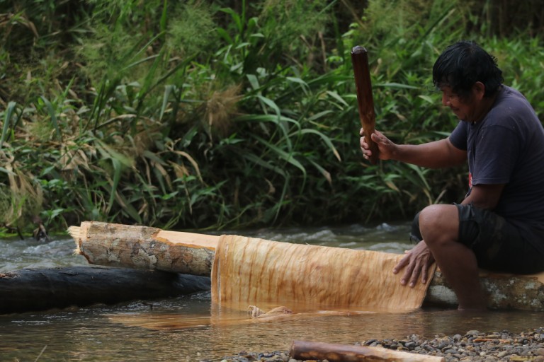 Indigenous Ancestral Knowledge in the Amazon Rainforest — If Not Us Then  Who?