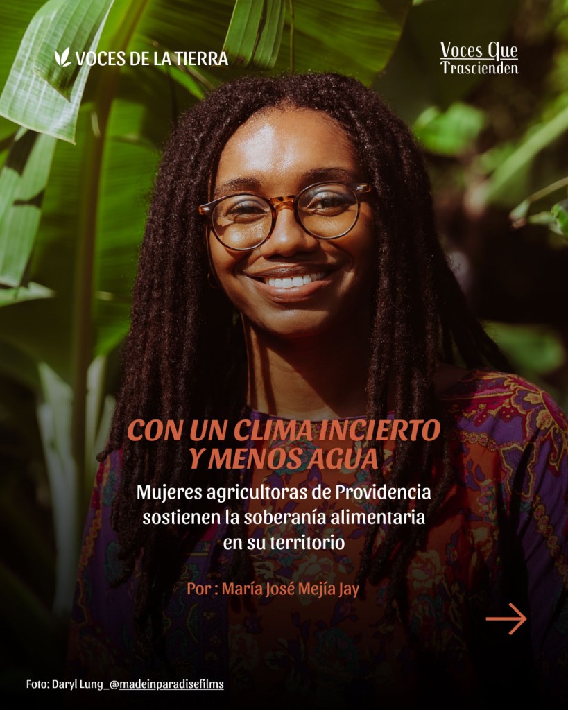 Cover of published journal by María José Mejía