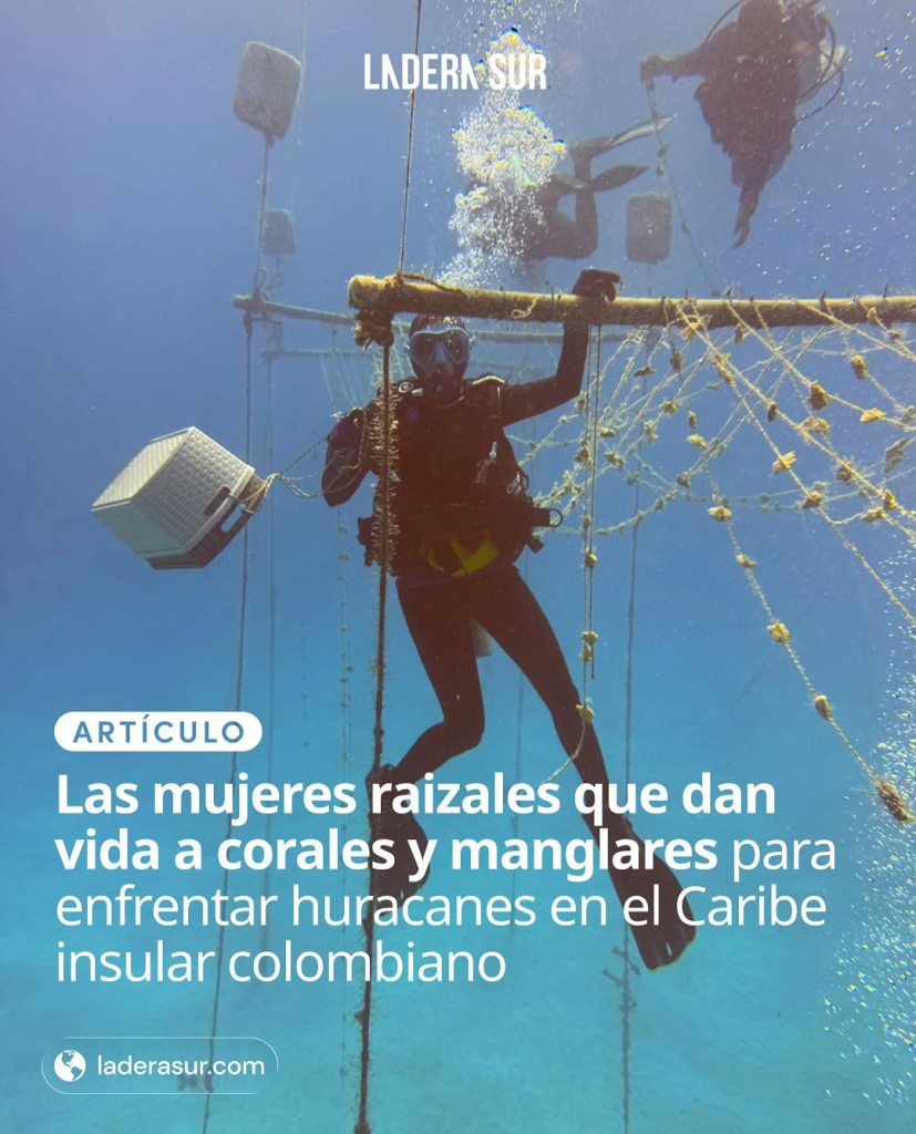 Cover of published journal by María José Mejía